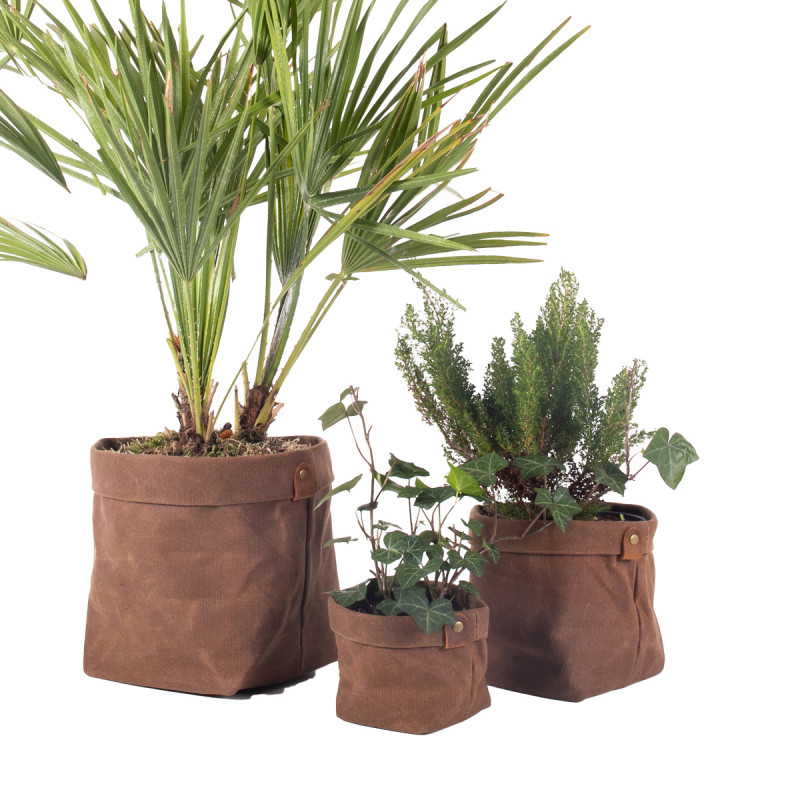 Cache pot PLANTER