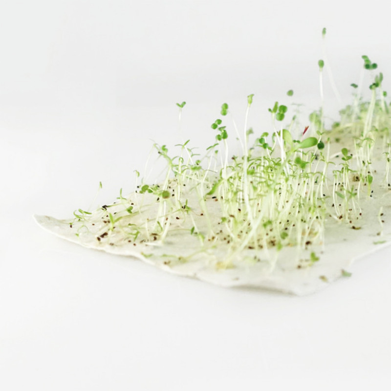 carte a planter intérieur