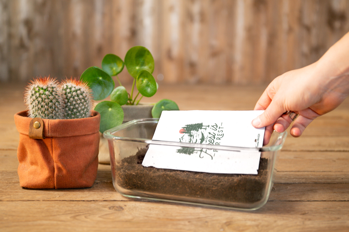 🌱Carte à planter Joyeux Anniversaire Gâteau - Carte à Pousser